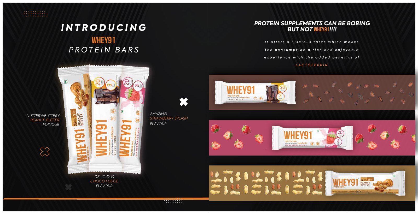 Whey91 Product Booklet — page 4 of 6