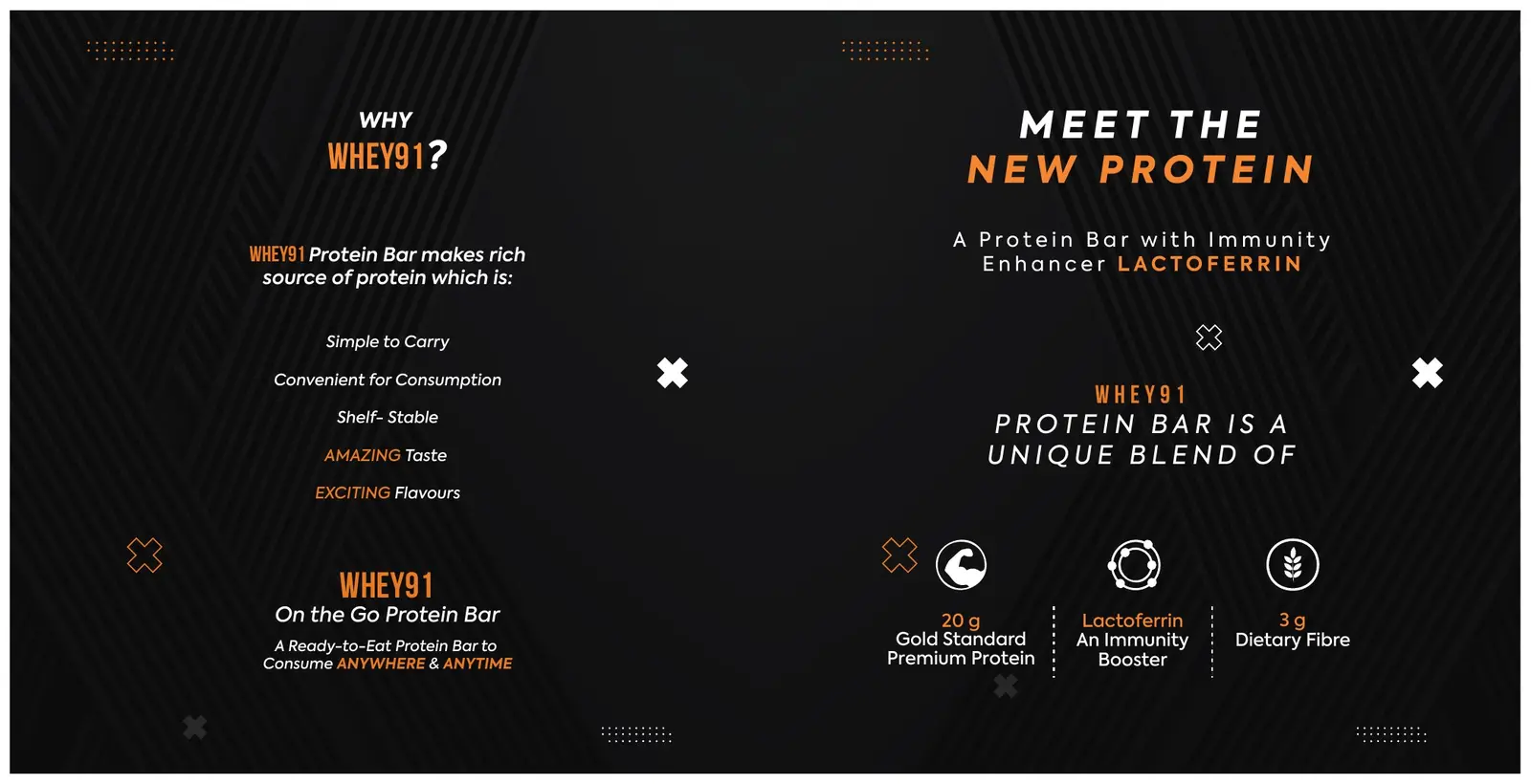 Whey91 campaign design by Aman Shah — visual 5